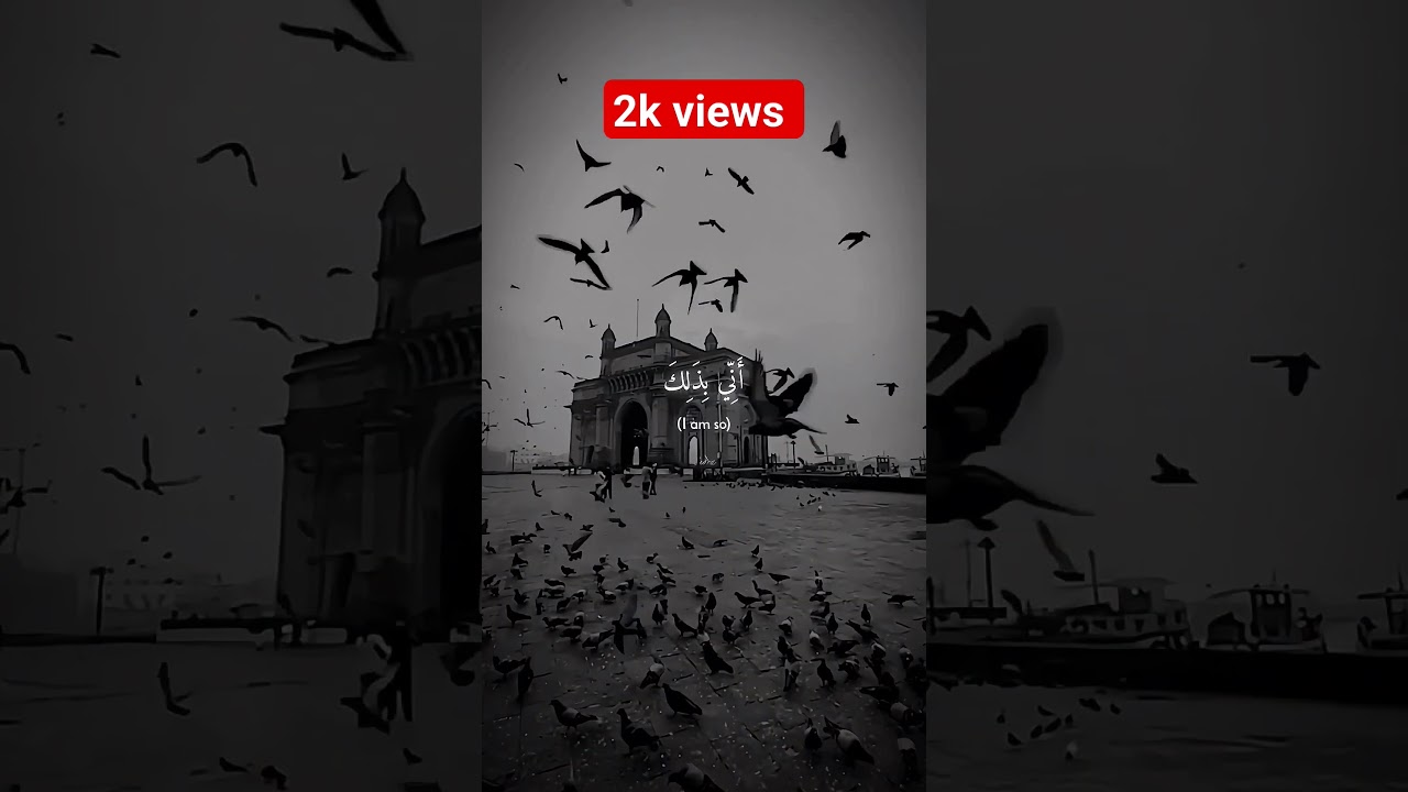 feel this islamic music 😌❤️💫#viral #islamic #reels #shorts