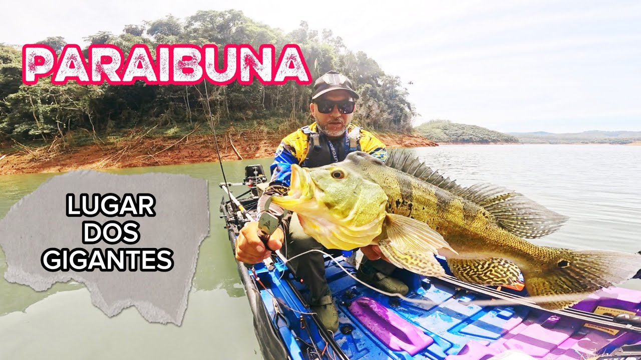 TUCUNARES DA REPRESA DE PARAIBUNA Caiaque ARK 1290