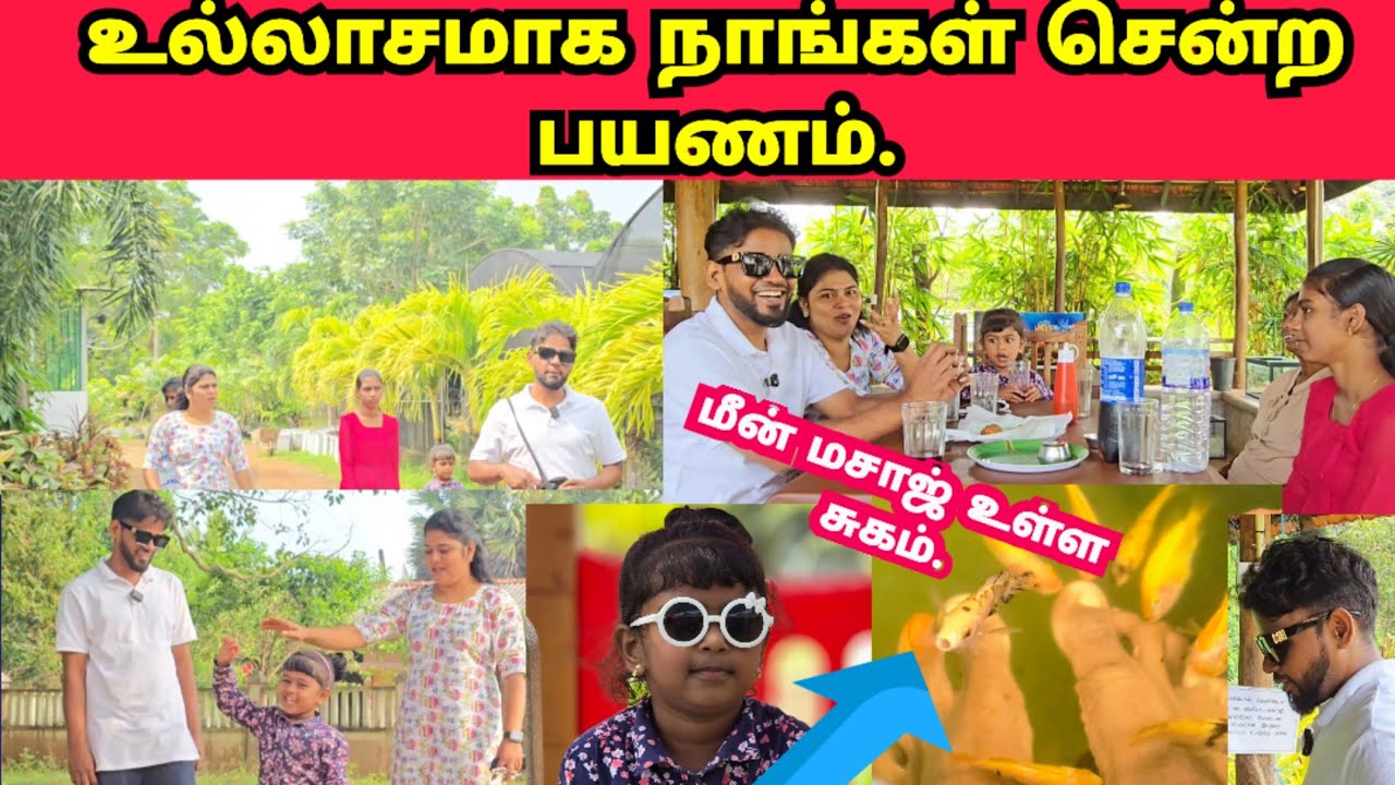 உல்லாசமாக நாங்கள் சென்ற பயணம். மீனால் இப்படி ஒரு மச்சாச்சா🥰|JSPwatching|Srilankan Tamil vlog.