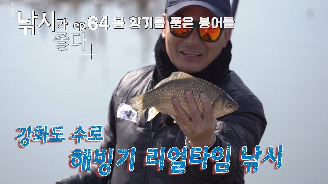 [고승원의 낚시가좋다64회] 강화도 수로 집어낚시, 강풍을 견뎌냈더니 붕어가 나오기 시작하는 그곳
