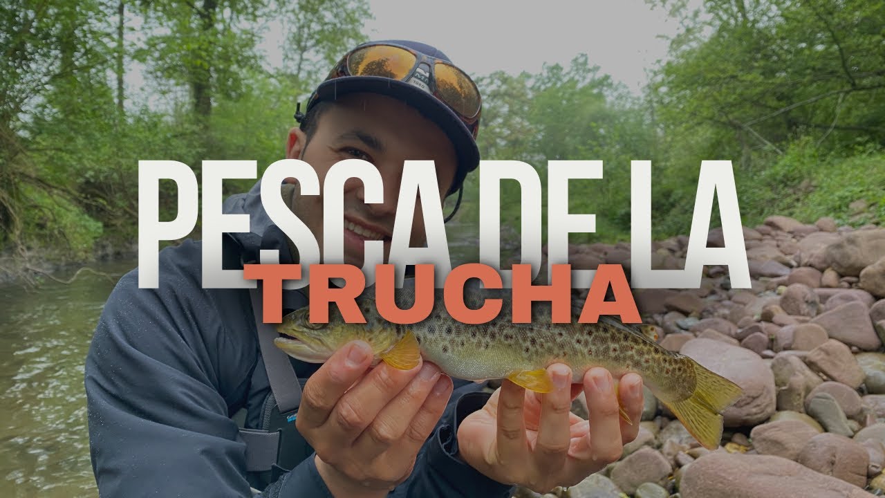 DOS TRUCHAS A LA VEZ!! PESCANDO TRUCHAS en RIO MUY PEQUEÑO. PESCA A MOSCA
