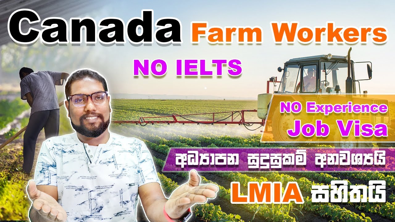 Canada Farm Worker 2022 | Agriculture Jobs in CANADA | NO IELTS Needed | | With LMIA | SL TO UK