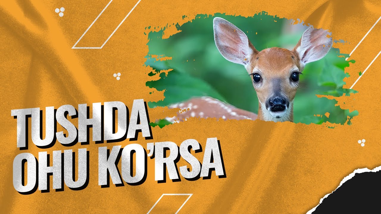 Tushda Ohu ko'rsa