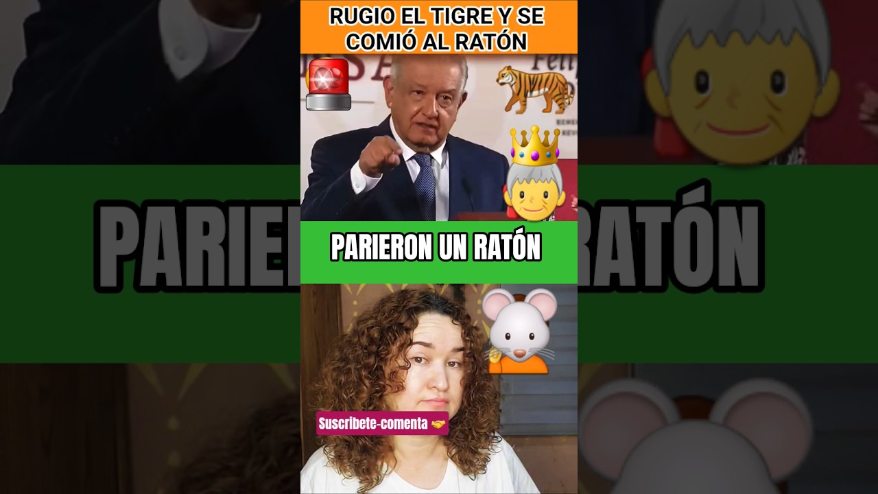 AMLO PIERDE LA PACIENCIA Y DEFIENDE SU POSTURA ANTE REPORTERA GRINGA #new #politics #amlo #4t #news