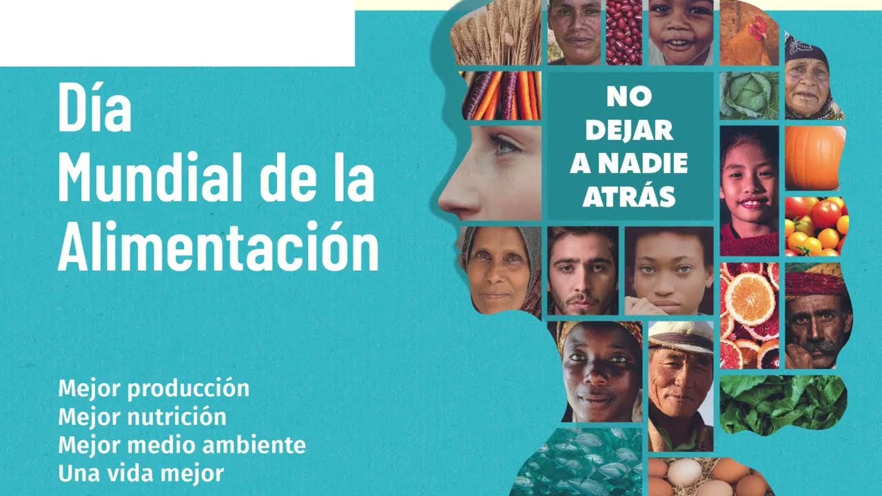 CON TACTO EDUCATIVO PROGRAMA Nº6: DÌA MUNDIAL DE LA ALIMENTACIÒN
