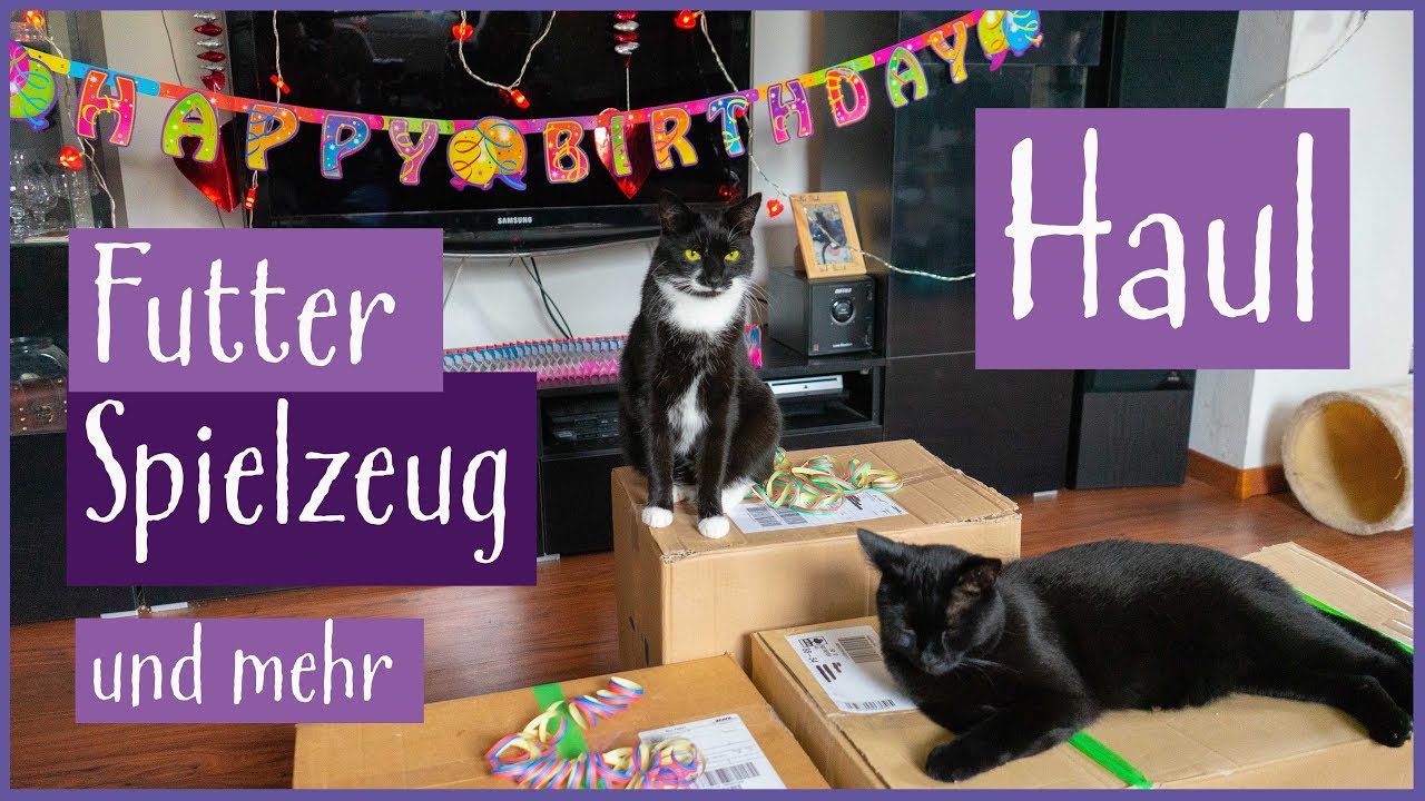 Haul Geburtstagsedition | Aiden und Sirius werden 5
