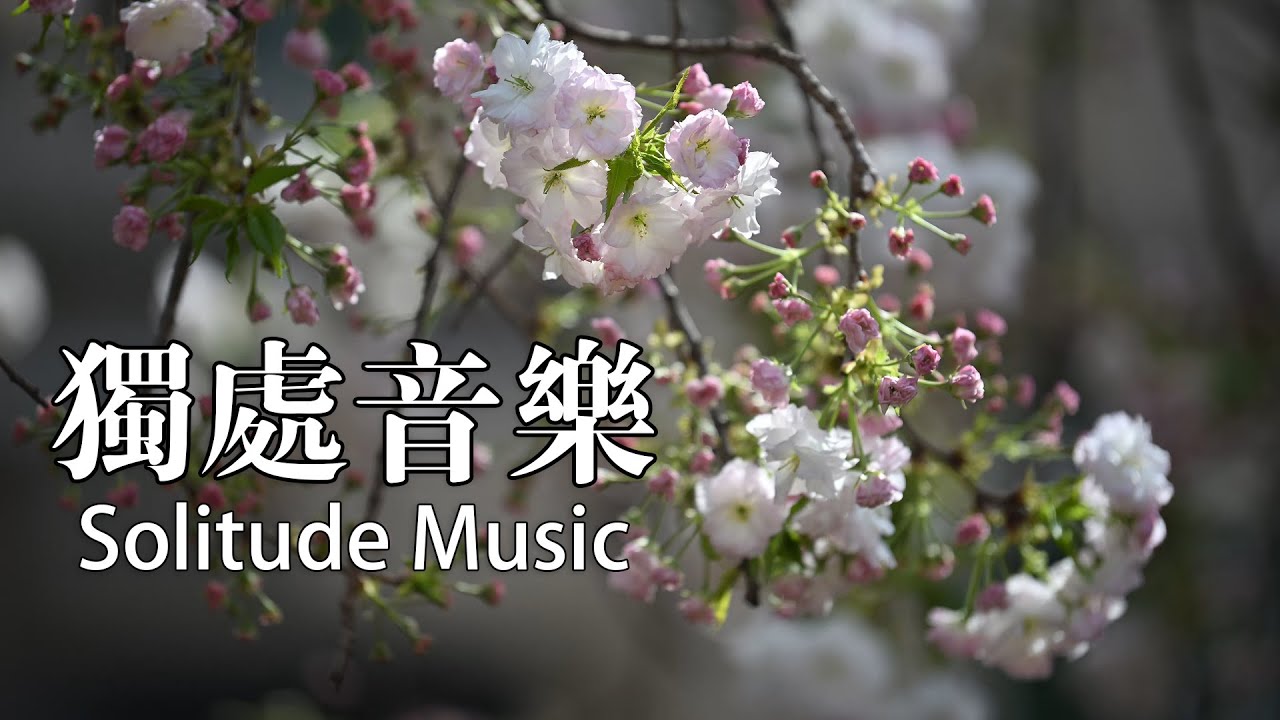 「寧靜的陪伴 | Quiet Music for Your Alone Time」讓旋律陪伴你的內心旅程 🌟 #轻音乐 #独处音乐 #放松 #冥想 #睡眠