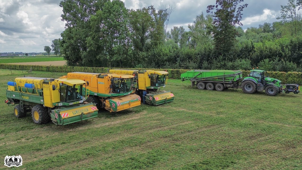 3x PLOEGER + DEUTZ | Threshing peas | Loonbedrijf Weltjens | 2024