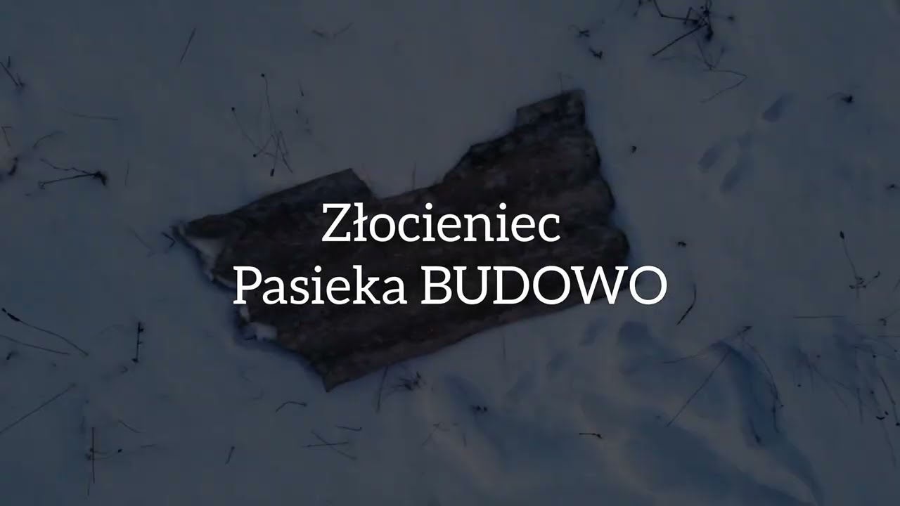 Pasieka Budowo -11°C, 06.01.26r