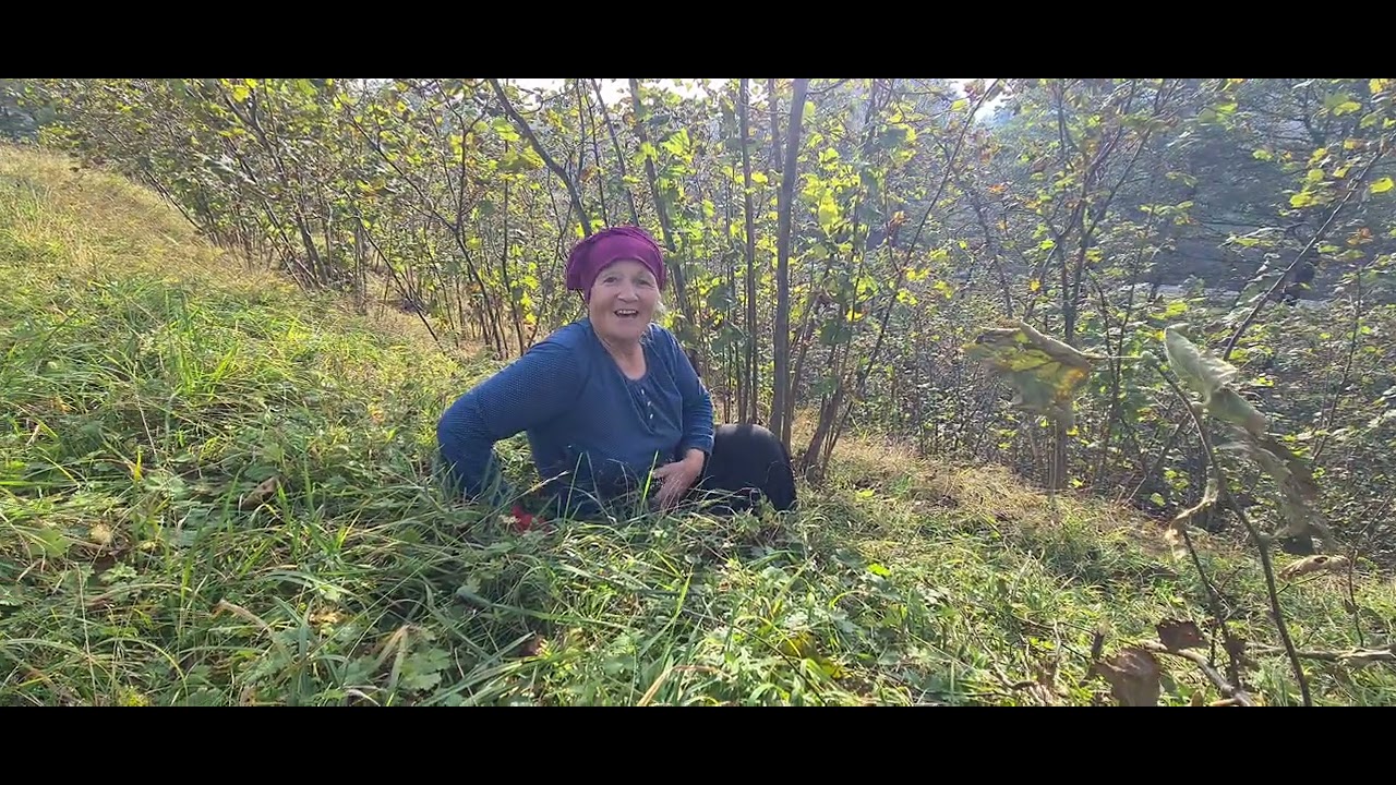 Romeika (Pontiaka) muhabbet.