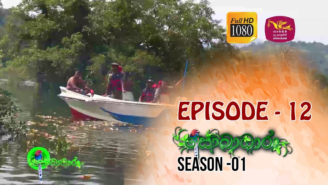 Sobadhara | Season - 01 | Episode -12 | Sobadhara Rupavahini