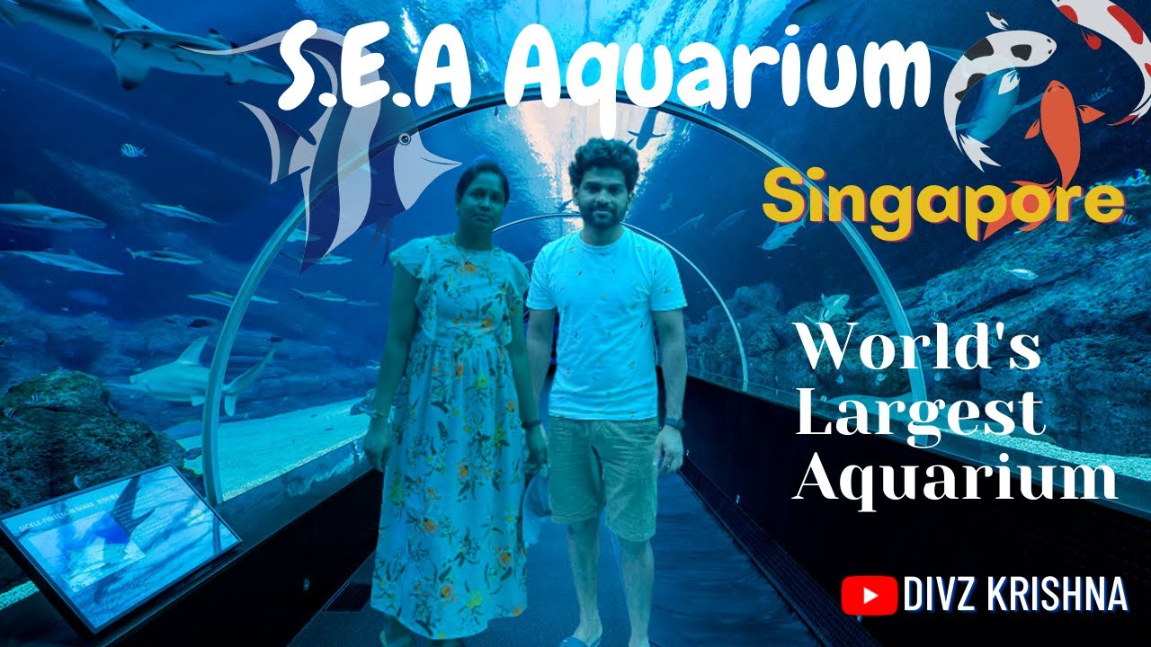 SEA Aquarium - 2nd largest aquarium in the world | Singapore  | Divz Krishna