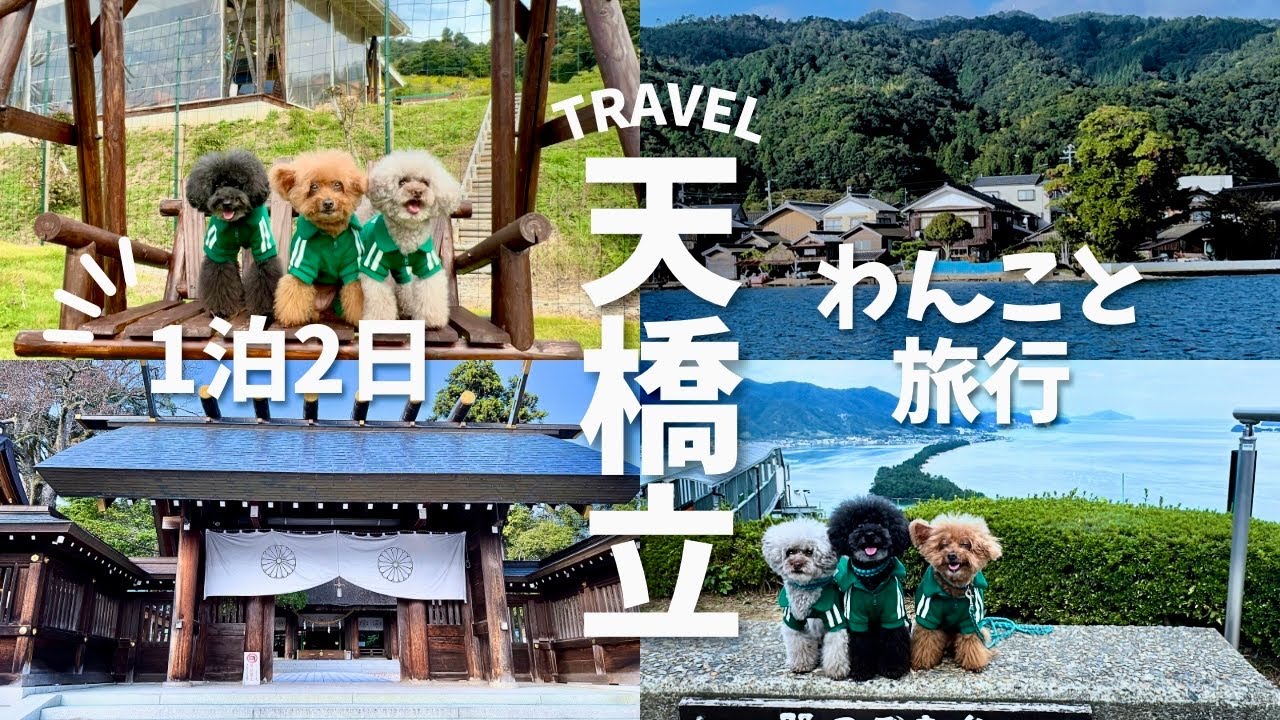 愛犬とグランピングに宿泊！絶景の天橋立旅行！しらんけど！