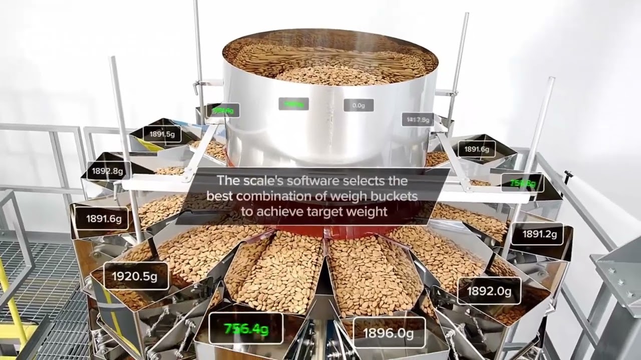 Weighing Tree Nuts for Bulk Packaging Using a Yamato Scale