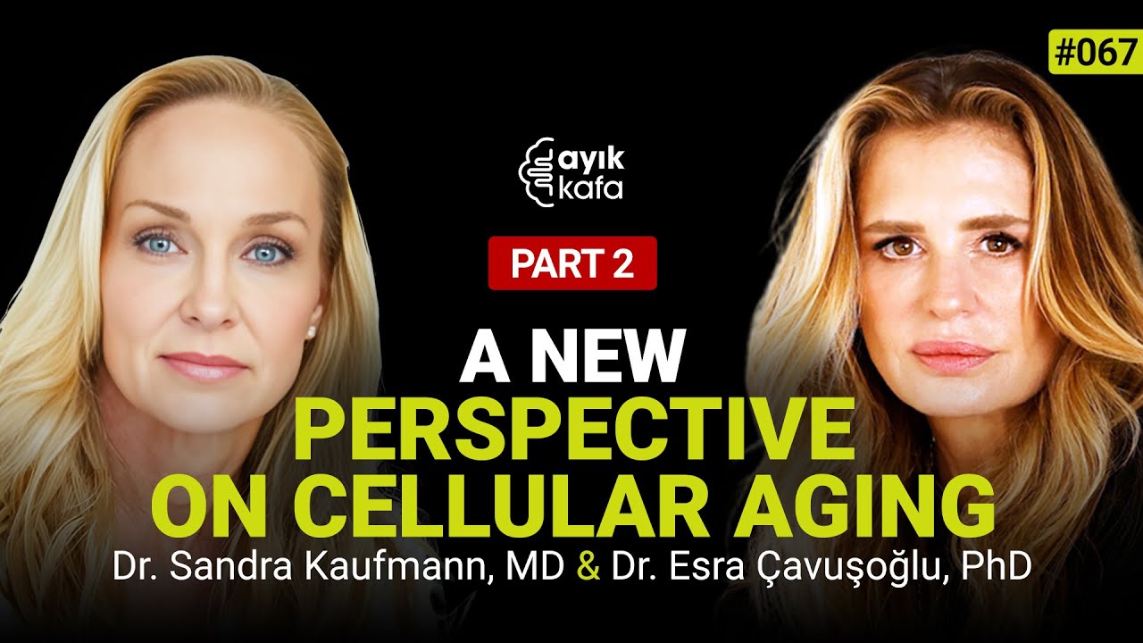 SUPPLEMENTS, MEDICATIONS, AND LONGEVITY STRATEGIES | 067 PART 2 DR. SANDRA KAUFMANN, MD