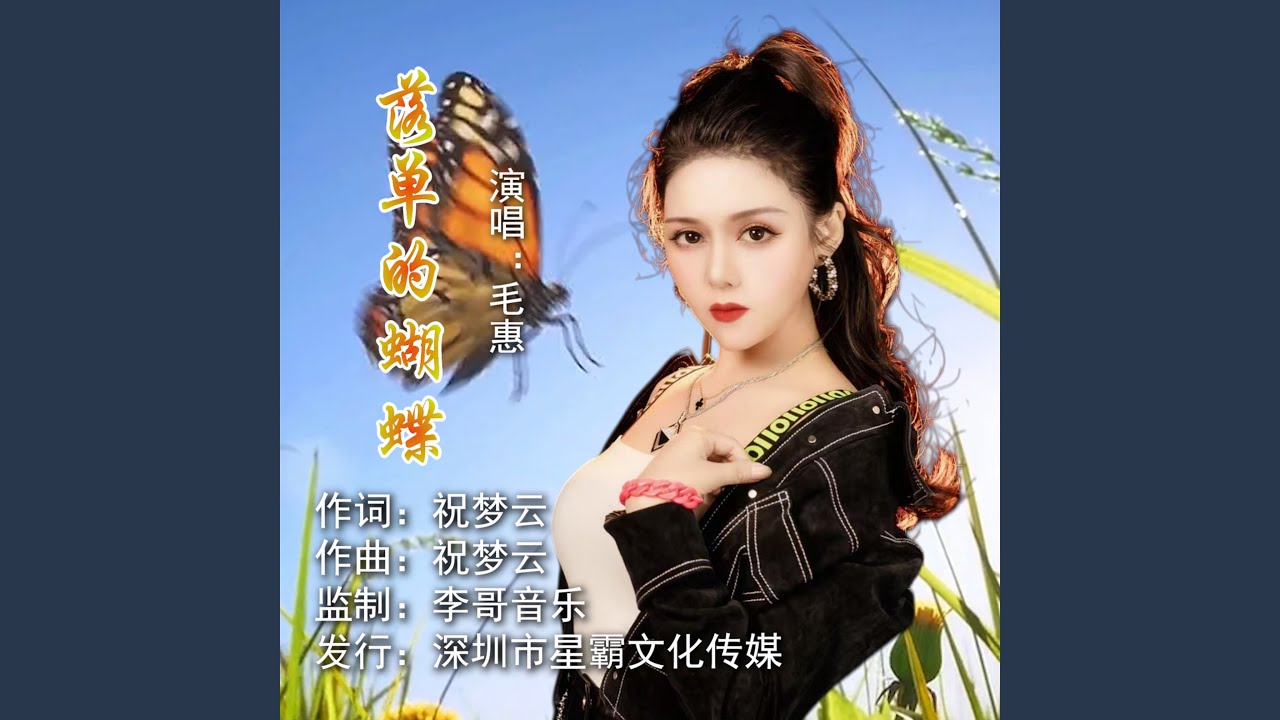 落单的蝴蝶DJ