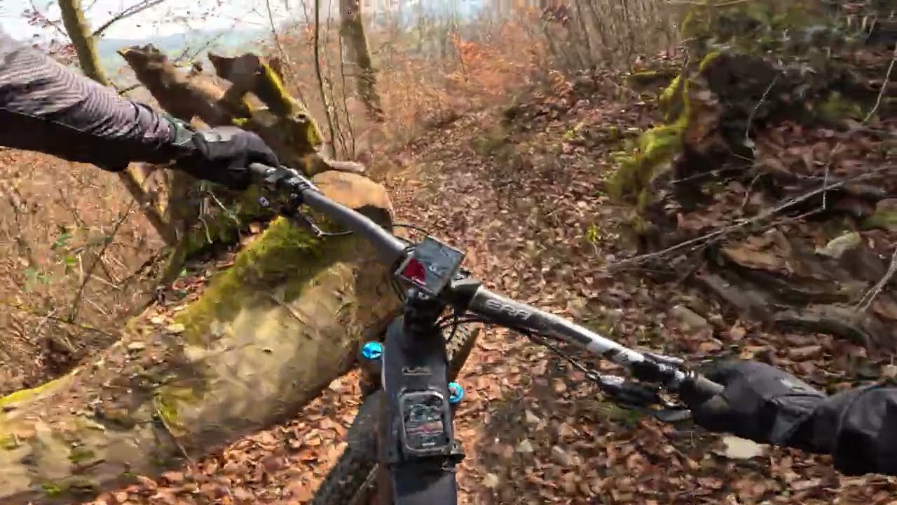 Sonnenberg Trail Variant 🇨🇭 | More Technical Descent | Tire Test