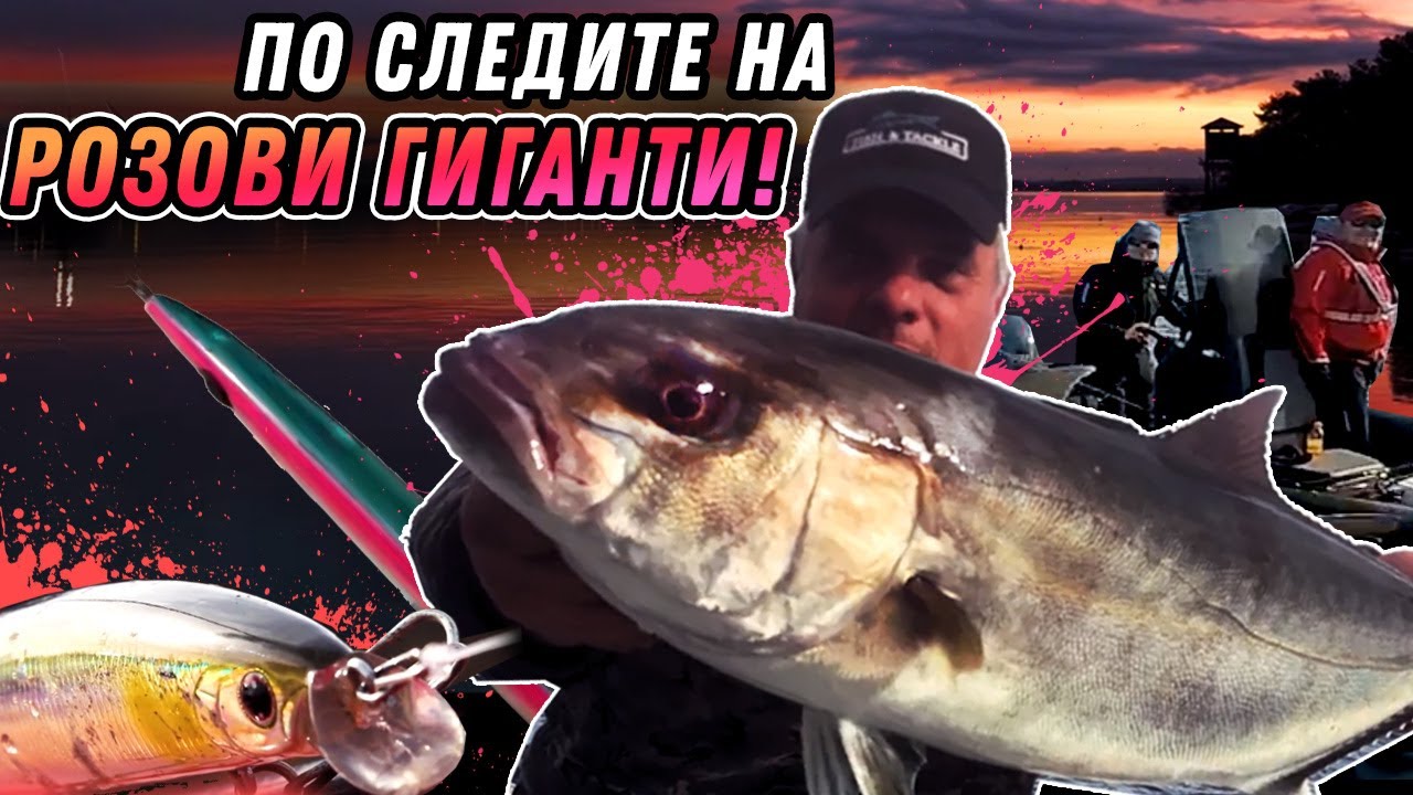 По следите на легендарните РОЗОВИ ГИГАНТИ / Маятико на спийд джиг около Самотраки