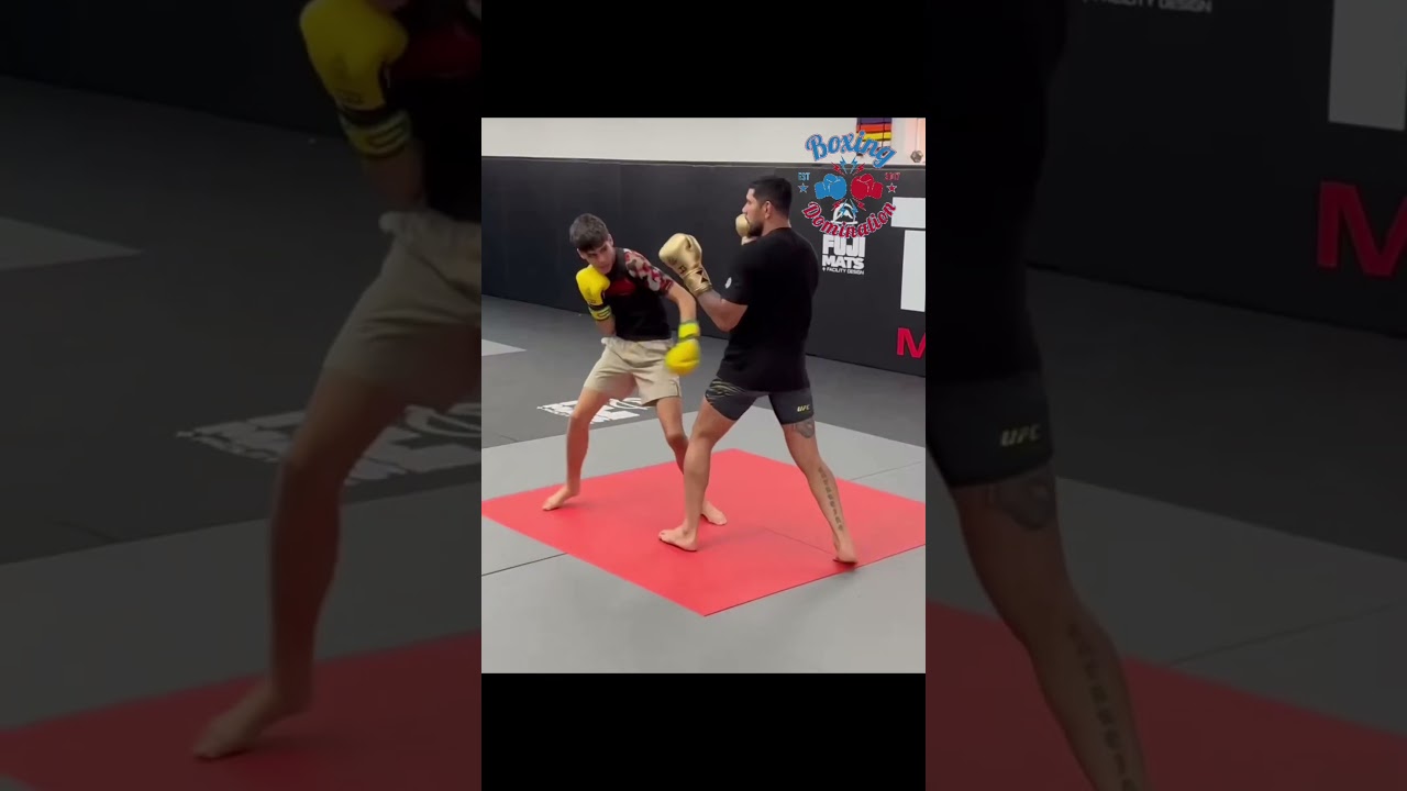 Alex Pereira Son Sparring Alex Pereira & Glover Teixeira