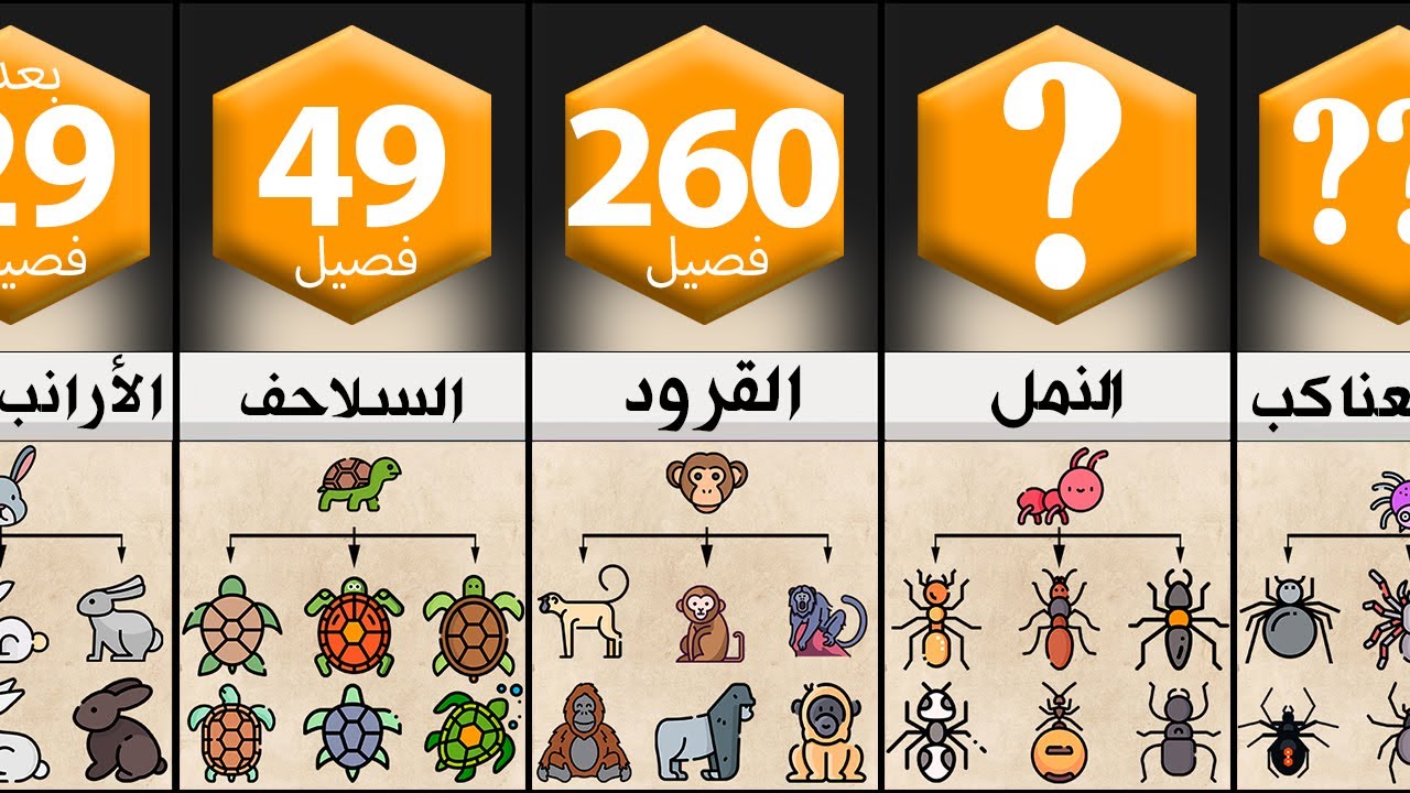 كم عدد فصائل الحيوانات؟ | الحيوانات الأكثر تنوع