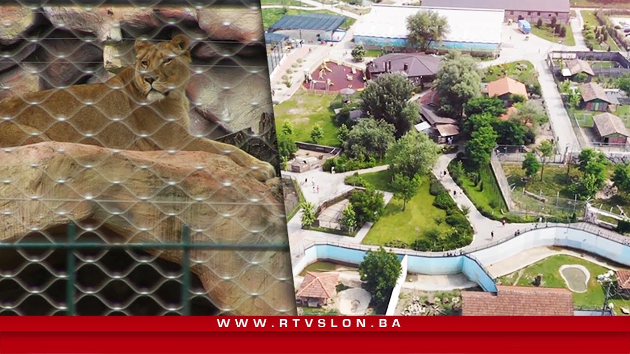 Biraj srcem, biraj BiH - Zoo vrt Bingo porodična oaza mira - 28.08.2020.