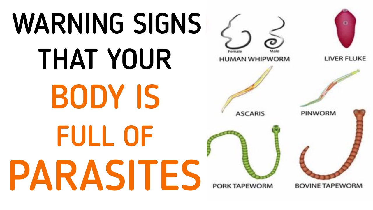 Don't Ignore These Early Symptoms Of Parasites In Your Body