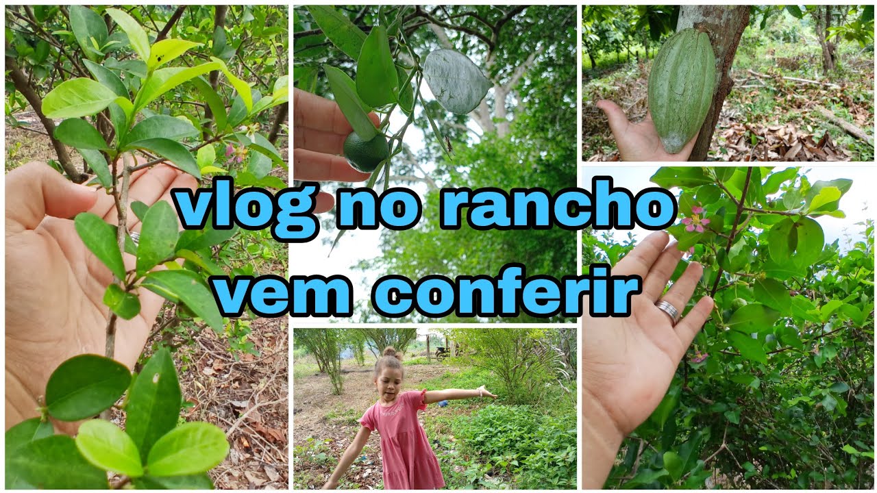 Vlogzão pra vcs lá no rancho, bora conferir 