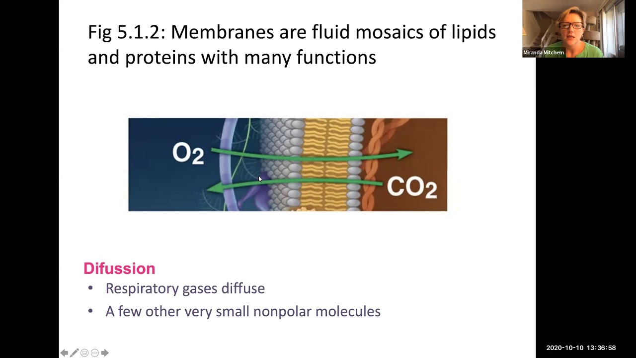 Biology - MOD 8 Lecture