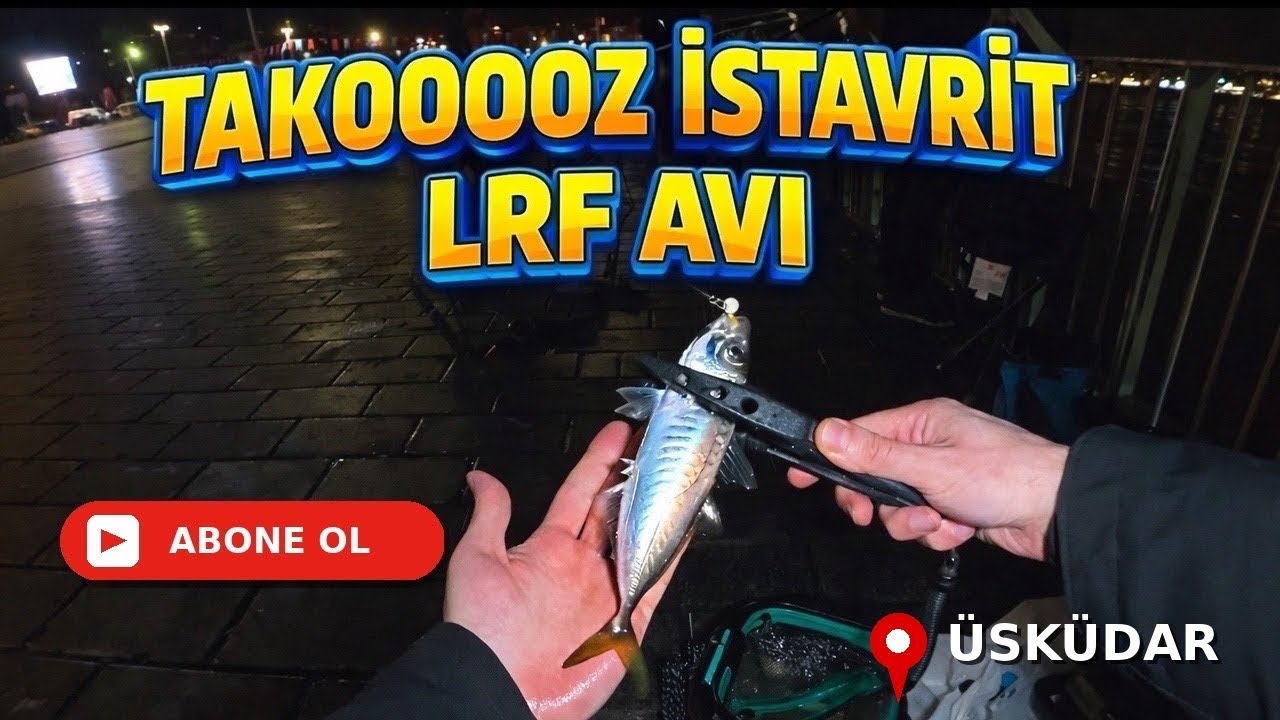 TAKOOOOOZ İSTAVRİT / ÜSKÜDAR LRF BALIK AVI / Kanala Abone Olup Videoyu Beğenen Herkese Teşekkürler.