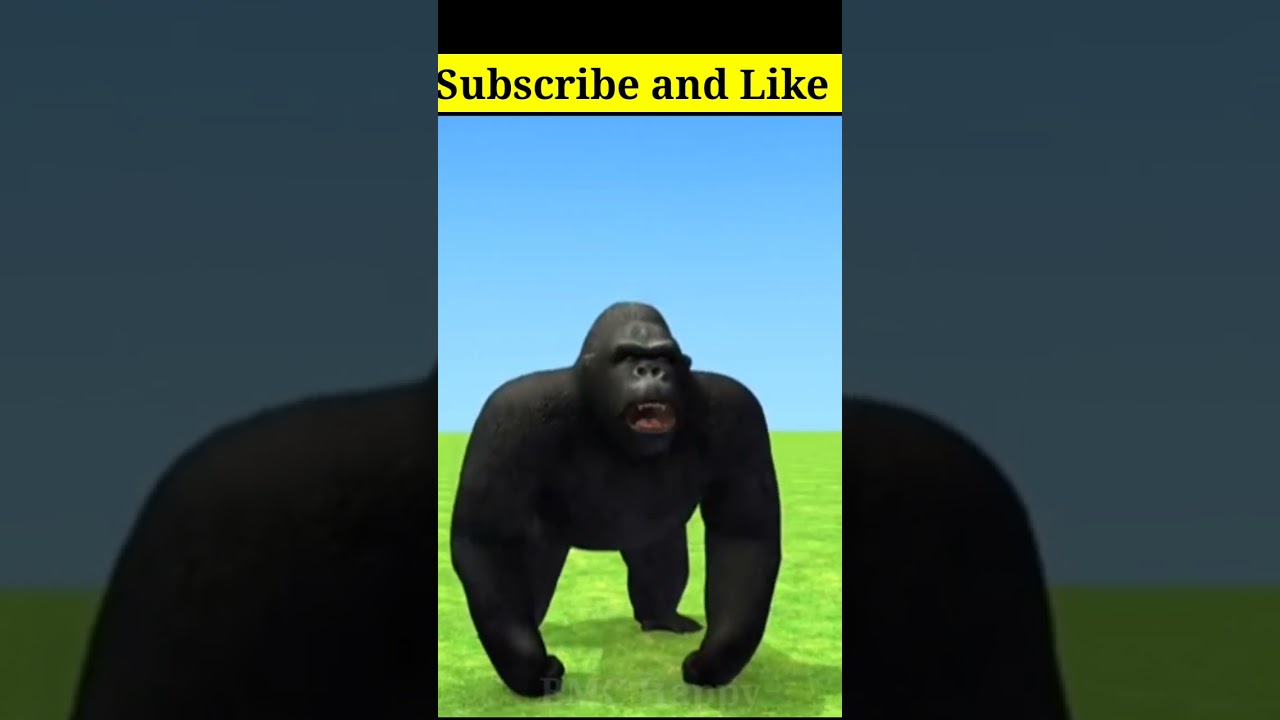 #wildanimals #cow #bmctv #shorts