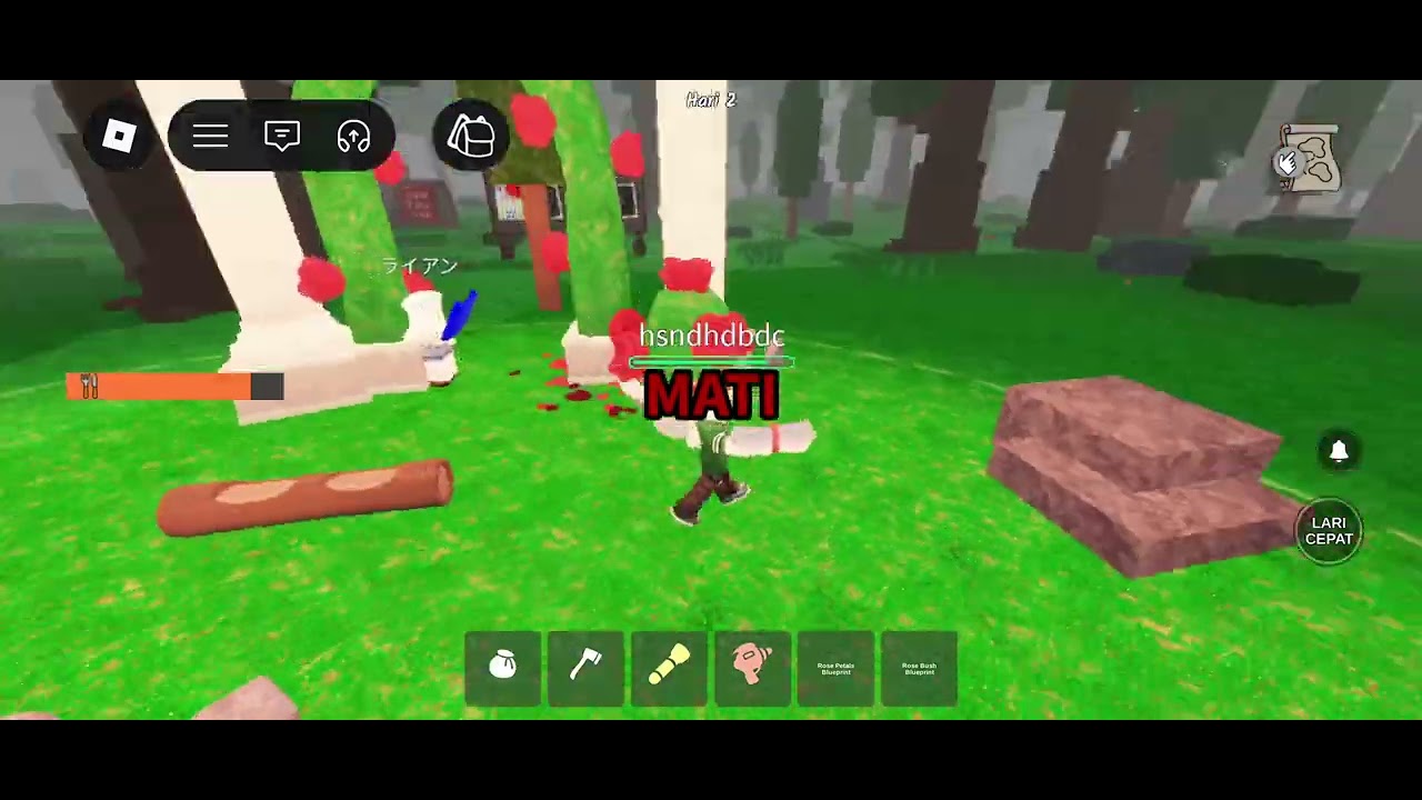 Pp