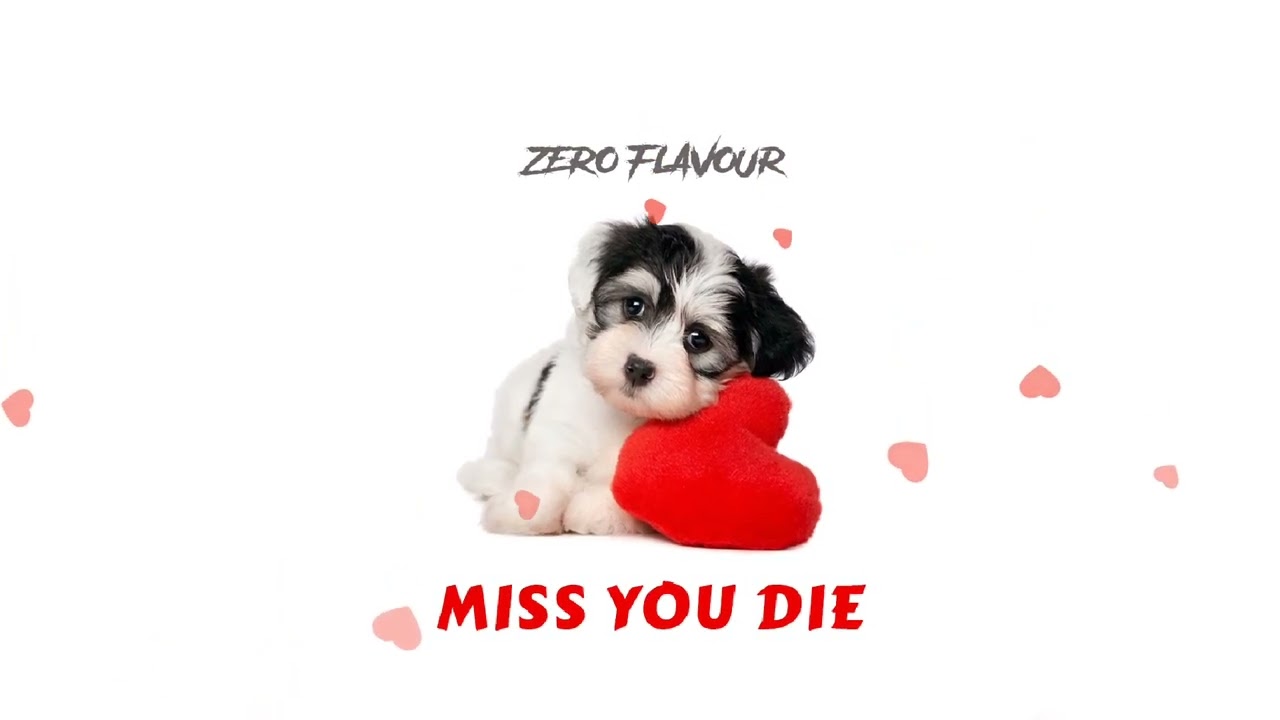 Zero Flavour-Miss you die (Official music audio)