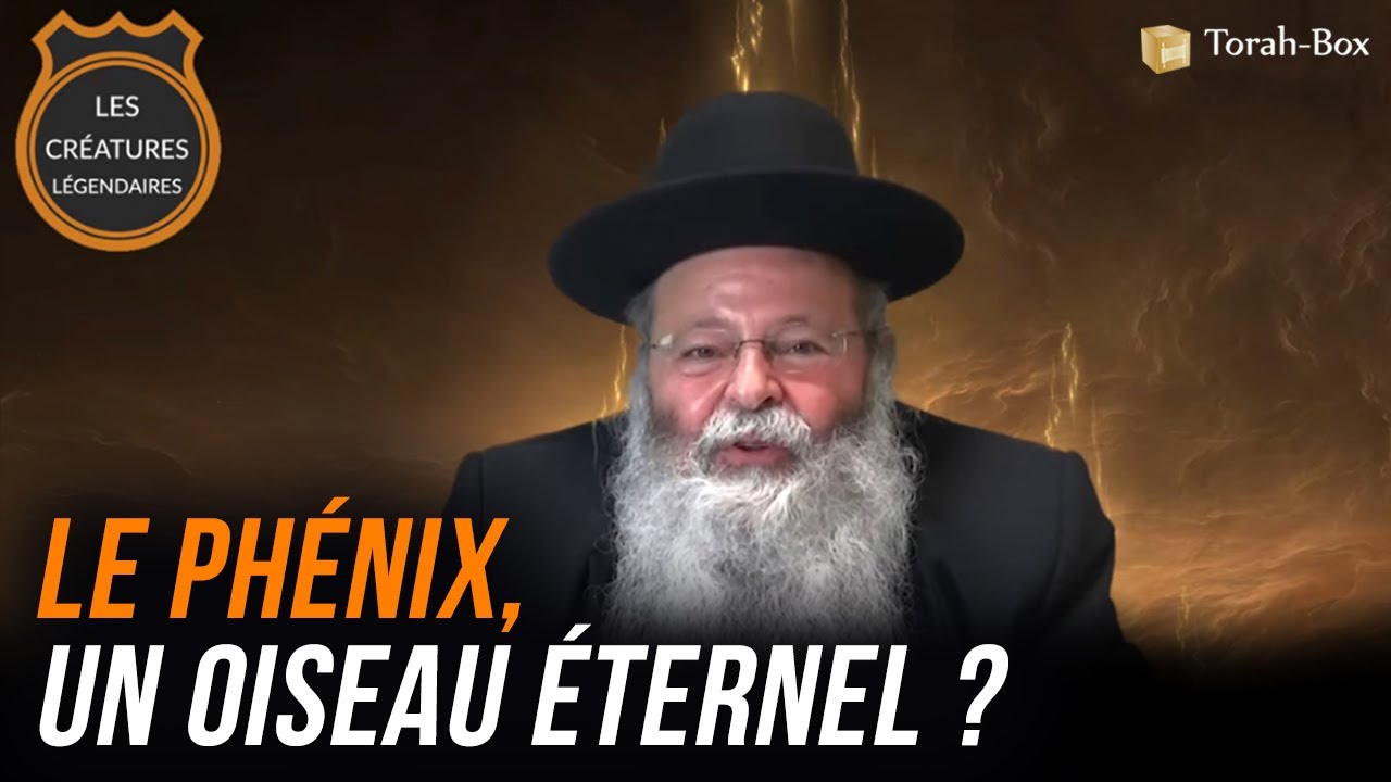 Créatures Légendaires : LE PHÉNIX, un oiseau éternel ? (Rav Eliahou Uzan)