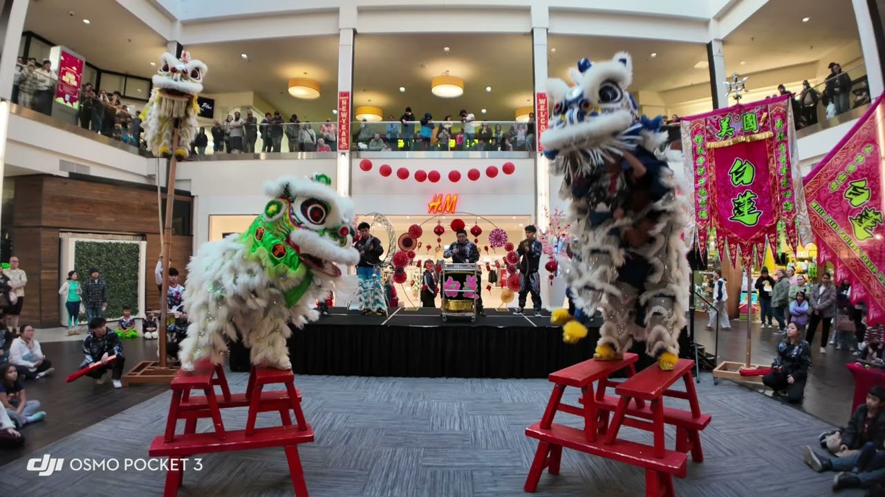 White Lotus Lion Dance Double Bench Finale @ Vancouver Mall | Year of the Snake 2025