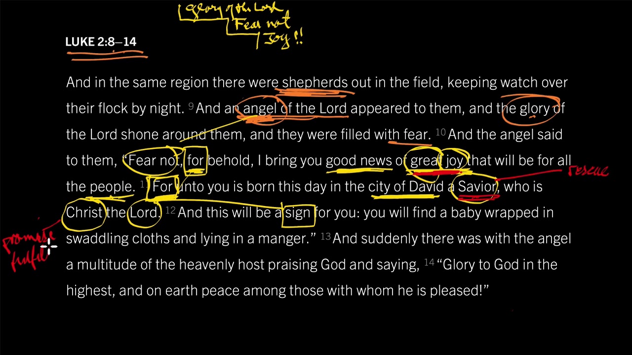 Unto Us a Savior Was Born: Luke 2:8–14