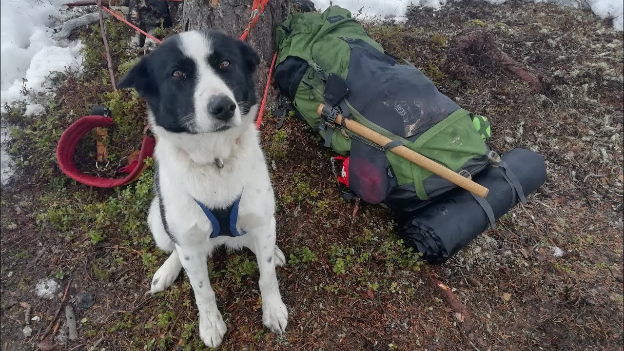 End of season camping