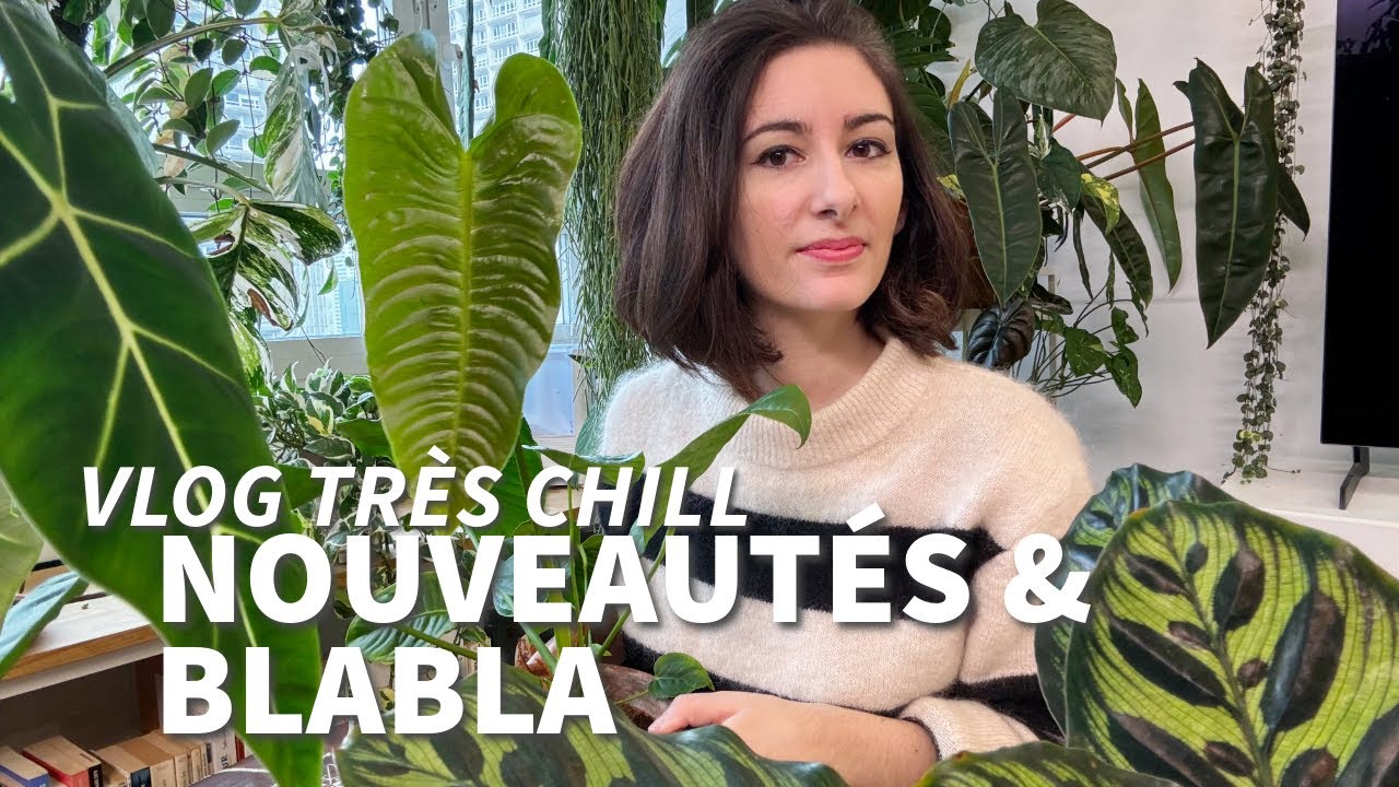 Vlog • haul plantes, arrosage & beaucoup de papotage
