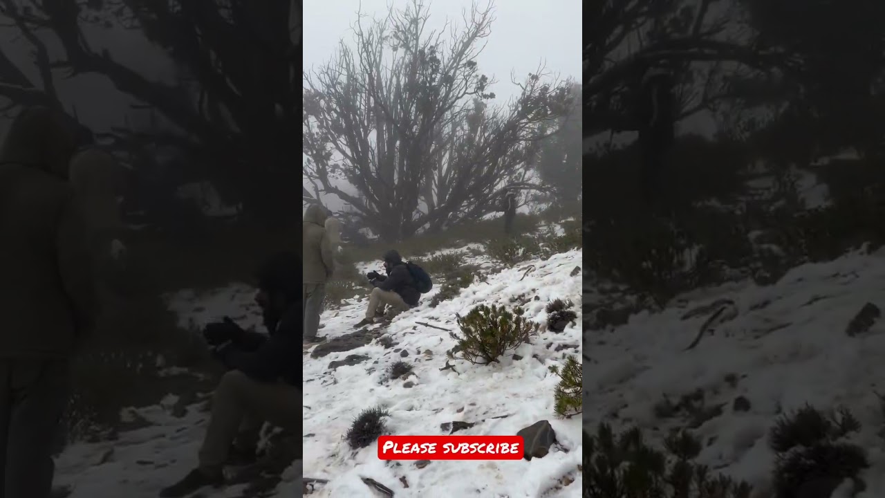 Snowfall oman 🇴🇲 | Jabelshams | SnowOman 