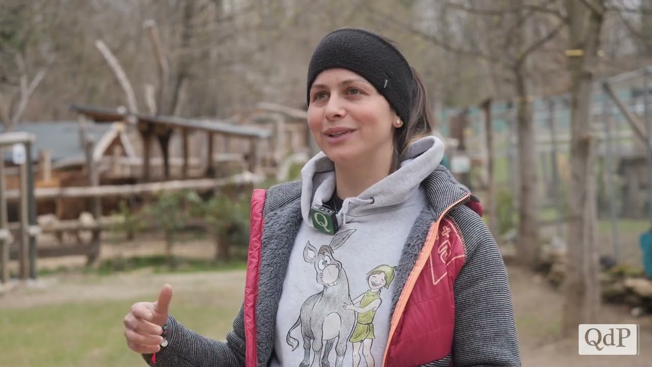 La Fattoria del Piave, l’oasi di Elisa e Damiano dove vive anche un cammello