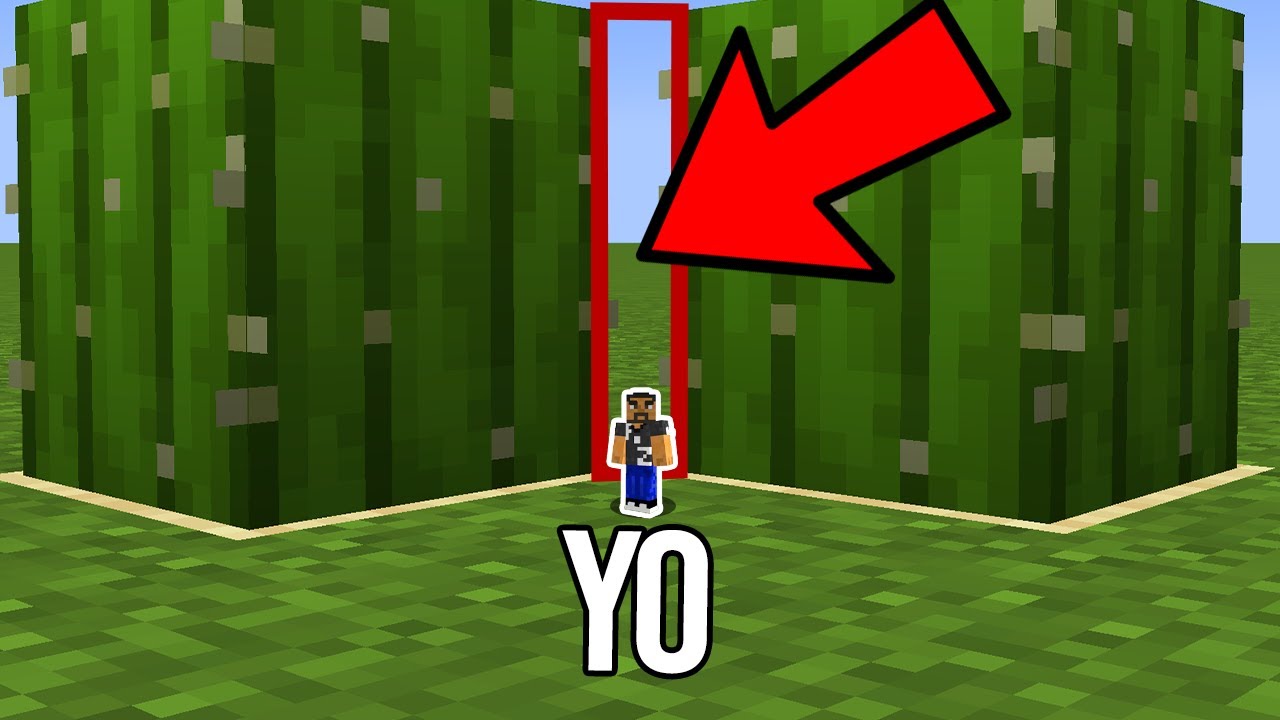 ¿Puedo pasar por ese agujero?