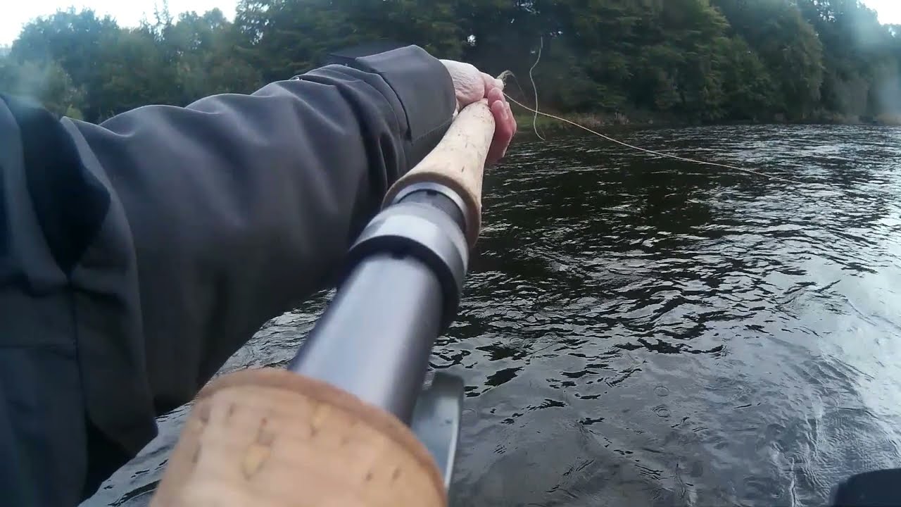 River Leven autumn salmon