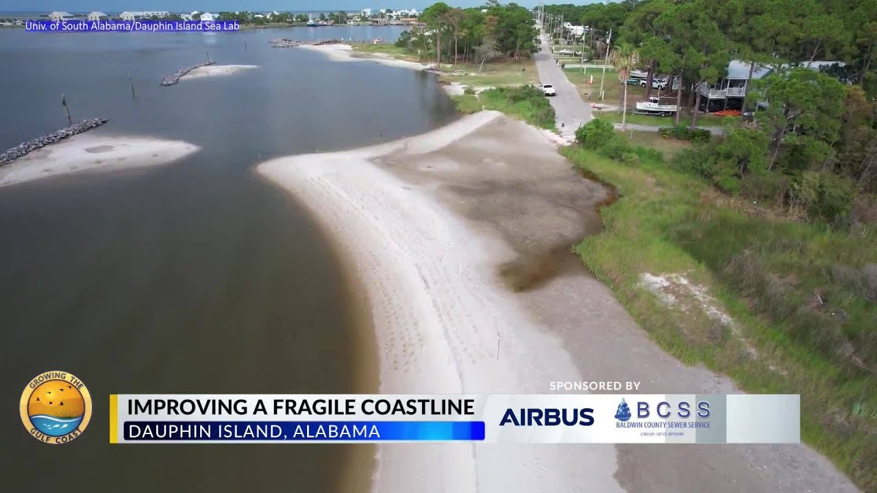 Dauphin Island Research Project Aims to Improve Future Restoration Initiatives