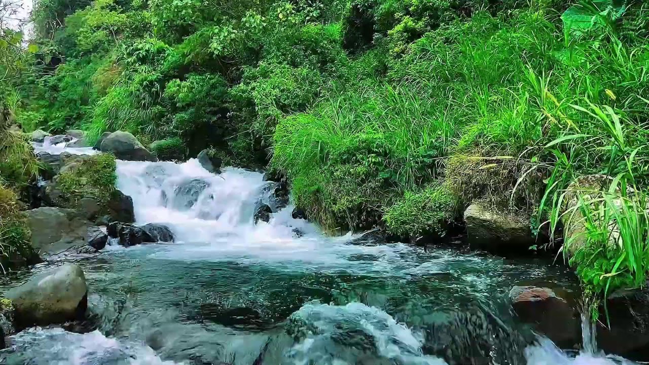 Calming mountain stream sounds for stress relief