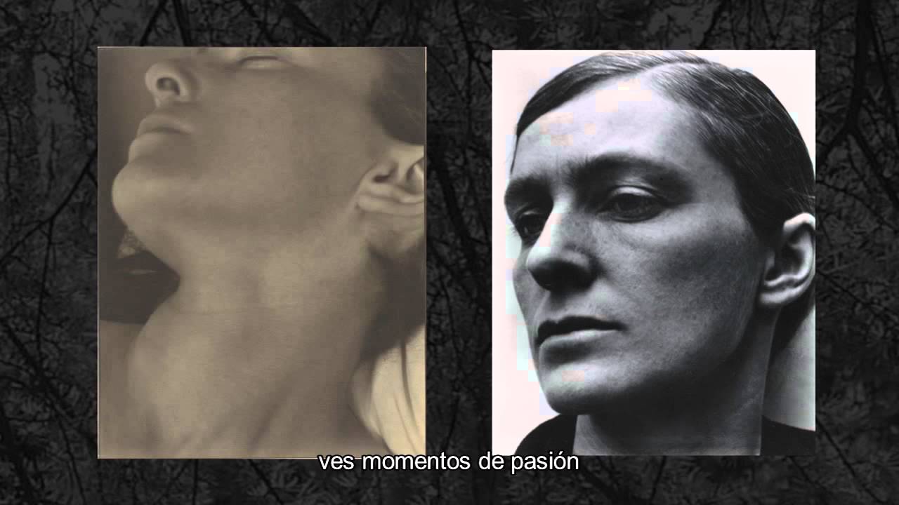 Paul Strand - La Multiplicidad de la mirada - Fotógrafo