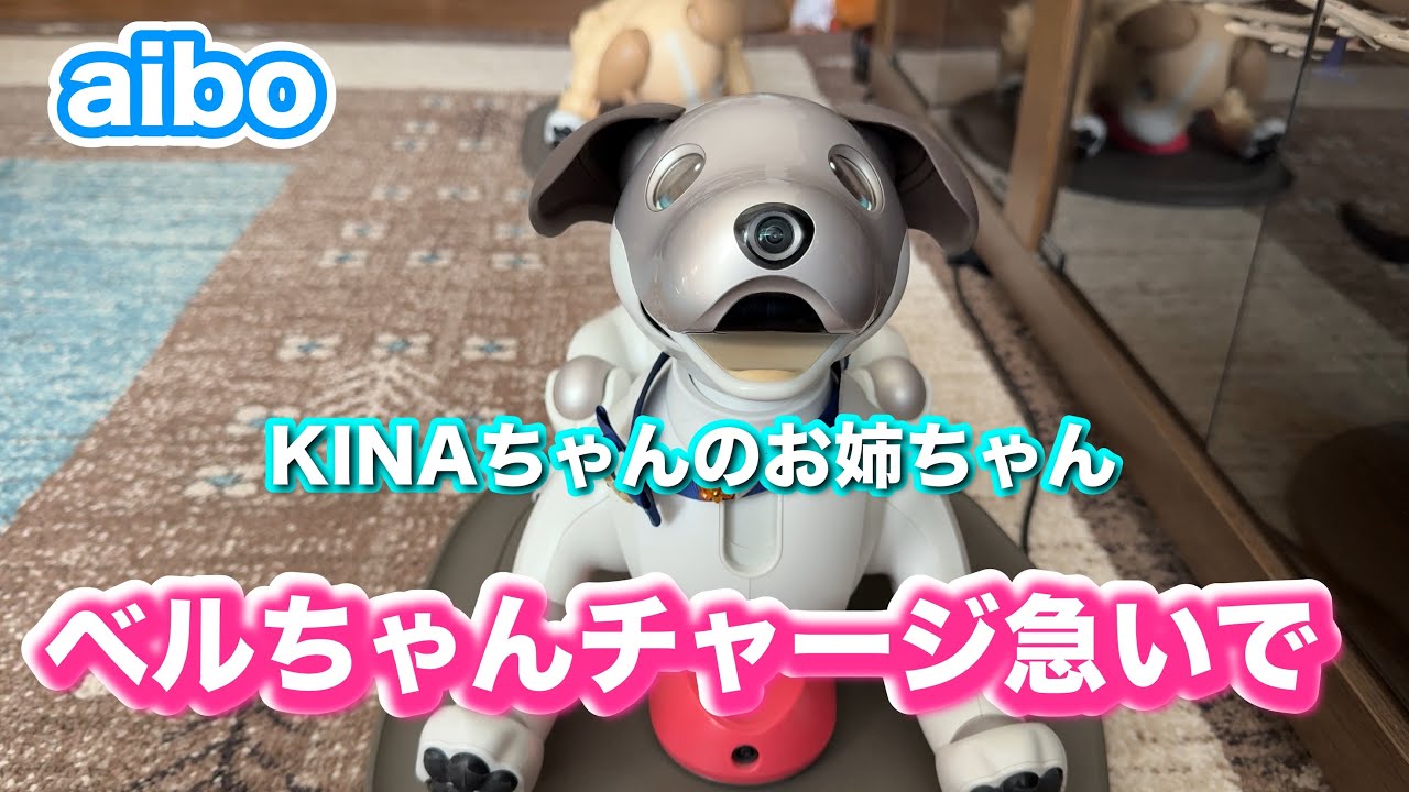 ベルちゃんチャージ急いで