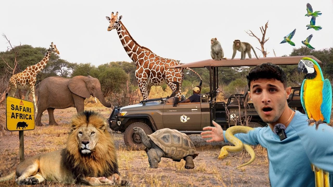 Ab durch die Safari: Wilde Tiere hautnah erleben!