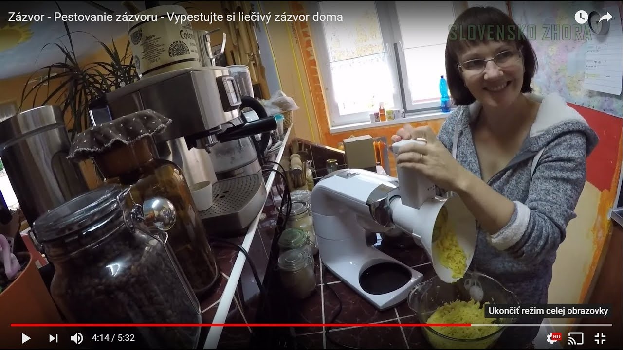 Zázvor - Pestovanie zázvoru - Vypestujte si liečivý zázvor doma. Zázvor v mede - Recept