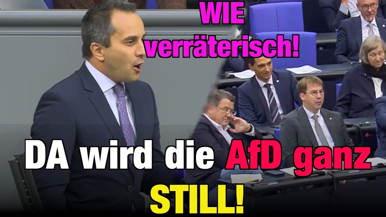 AfD wird STILL wenn man ihr den Spiegel vorhält