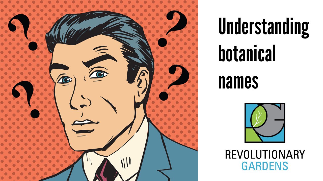 understanding botanical names
