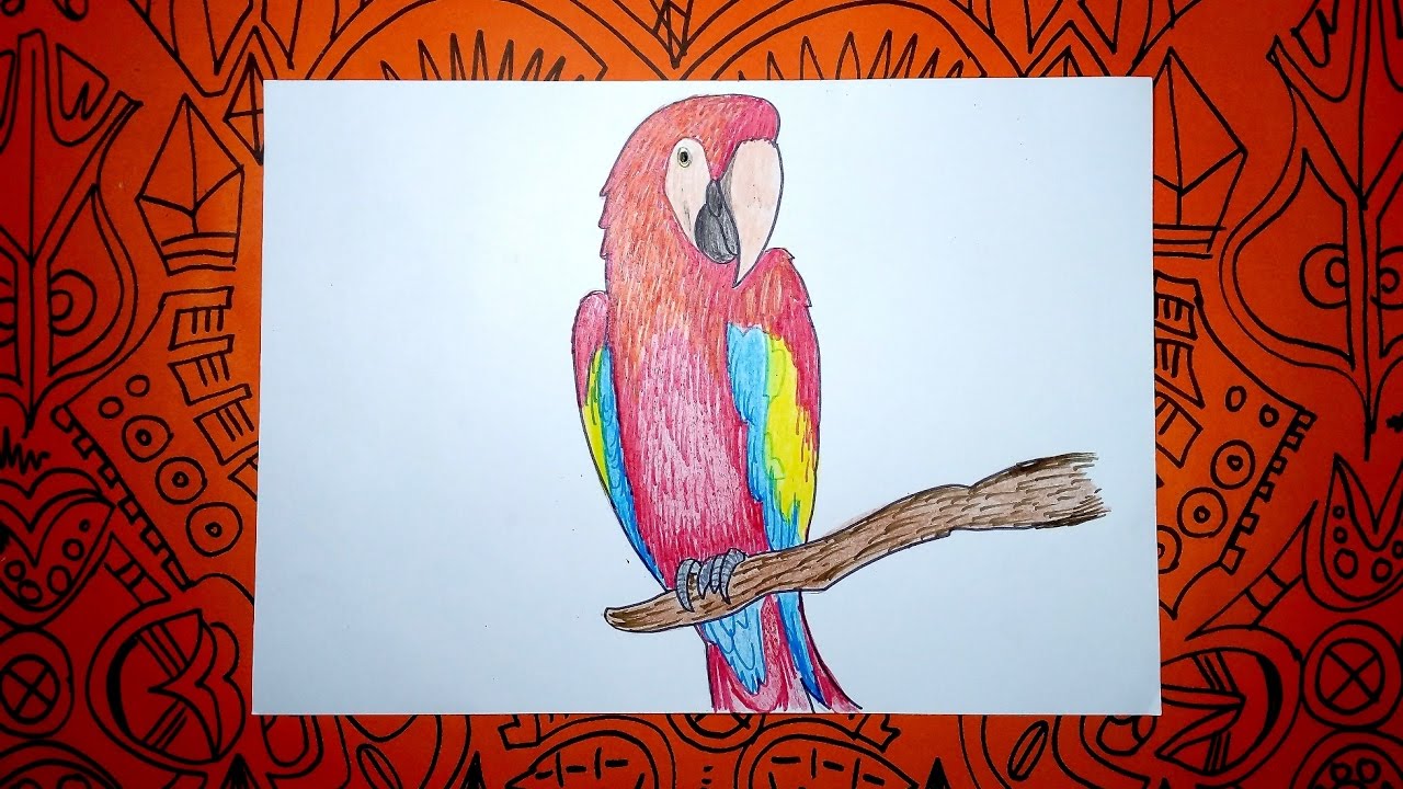 Aprende a dibujar una Guacamaya con colores - Pasos sencillos